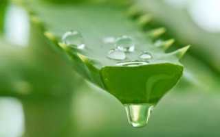 Из-за чего на коже может появиться красное пятно с прыщиками?