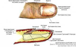 Ногтевой псориаз. Чем лечить псориаз ногтей на руках и на ногах