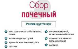 Урологический сбор при цистите: лечение, аптечные фитосборы