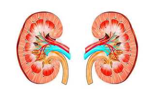 Как умирают от почечной недостаточности: симптомы и развитие