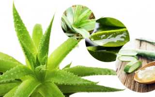 Во рту на небе появилась шишка: причины опухоли, фото бугорка и лечение новообразования