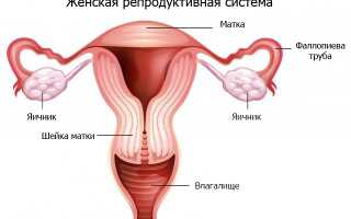 Урологическая киста у женщин от чего