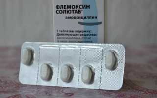 Флемоксин солютаб через сколько действует