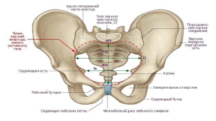 Болит спина и тазобедренный сустав при беременности