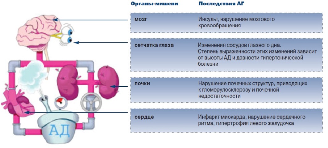 Голова кружится и сердце болит подташнивает