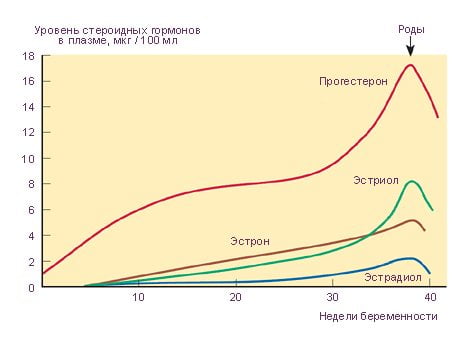 Болит спина и тазобедренный сустав при беременности